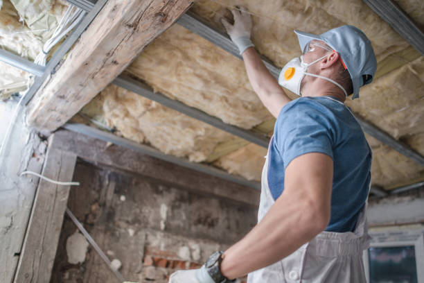 Best Types of Insulation in East Brady, PA